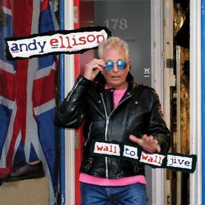 Andy Ellison - Wall To Wall Jive (an Anthology 1965-2020)  CD